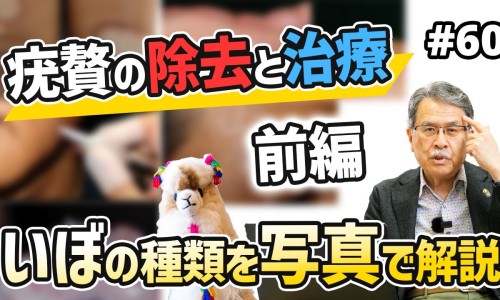 脂肪转化成什么排出体内专区_脂肪会转化成胆固醇吗专区_脂肪转化热量网